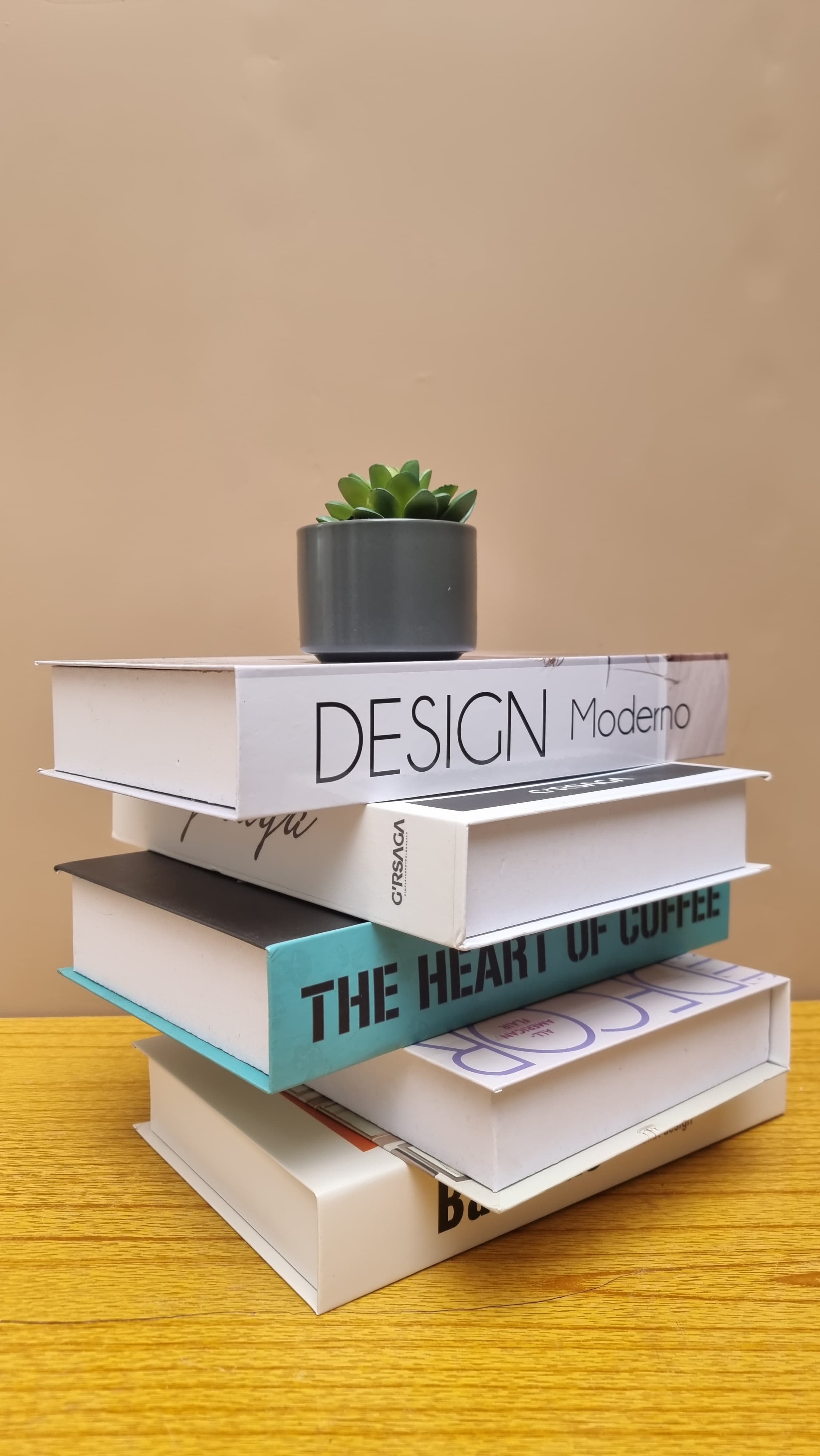 FAUX LIVRES DECORATIFS