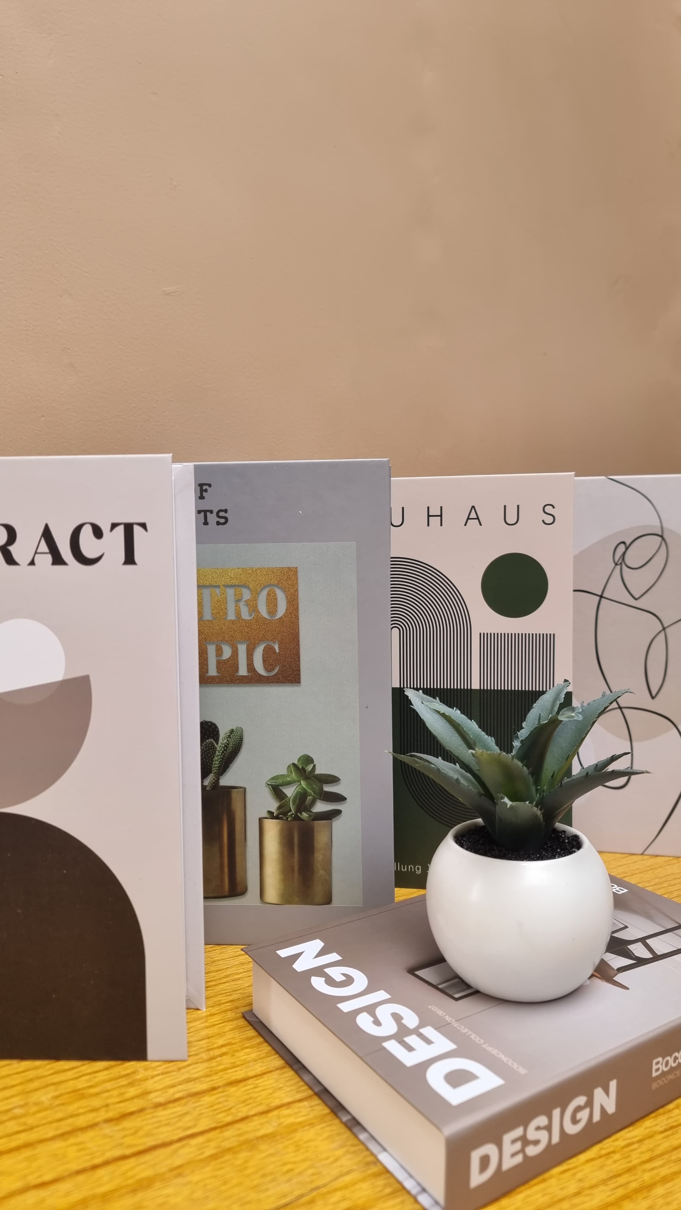 FAUX LIVRES DECORATIFS
