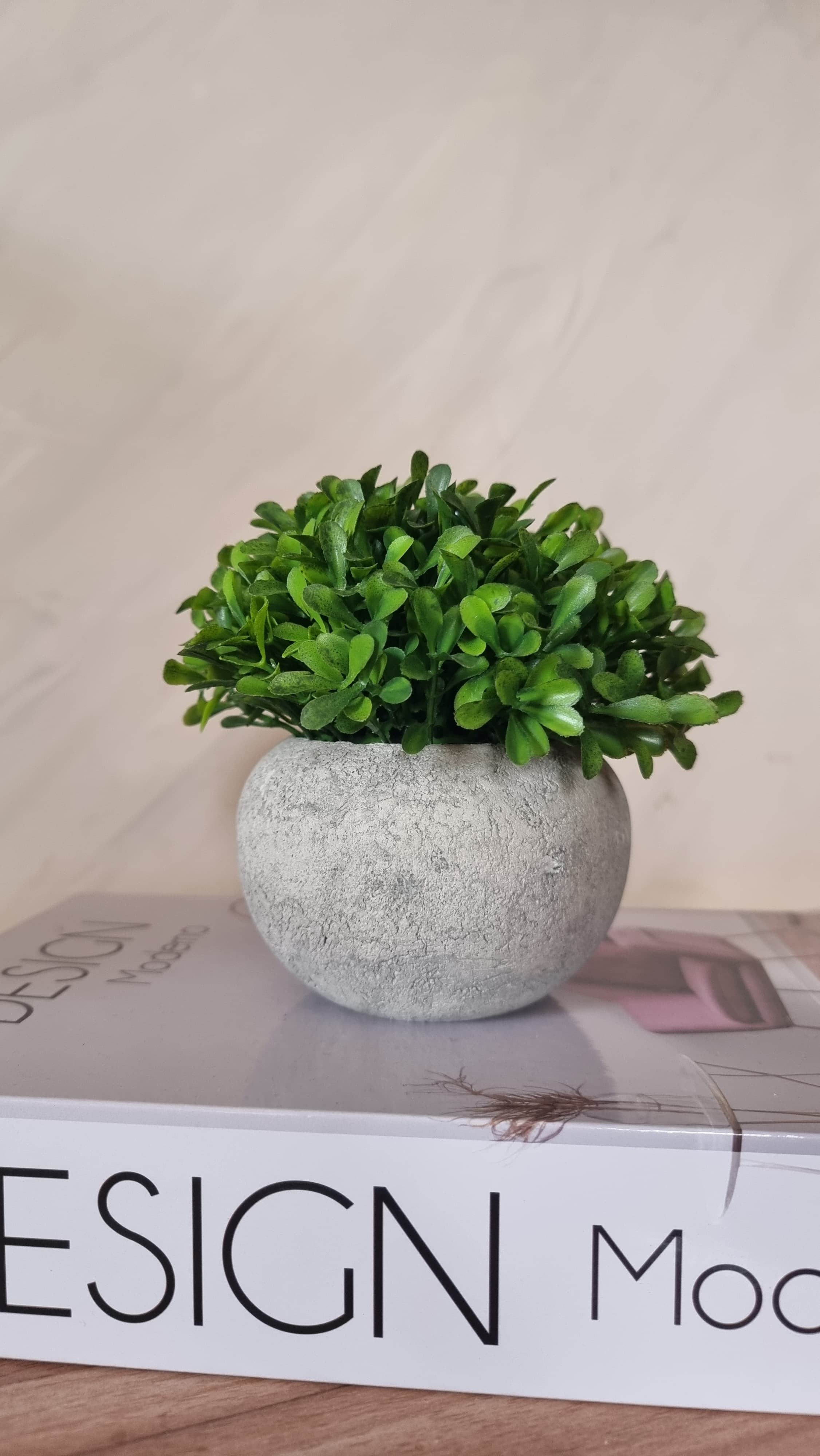 POT DE FLEUR TEXTURE CIMENT