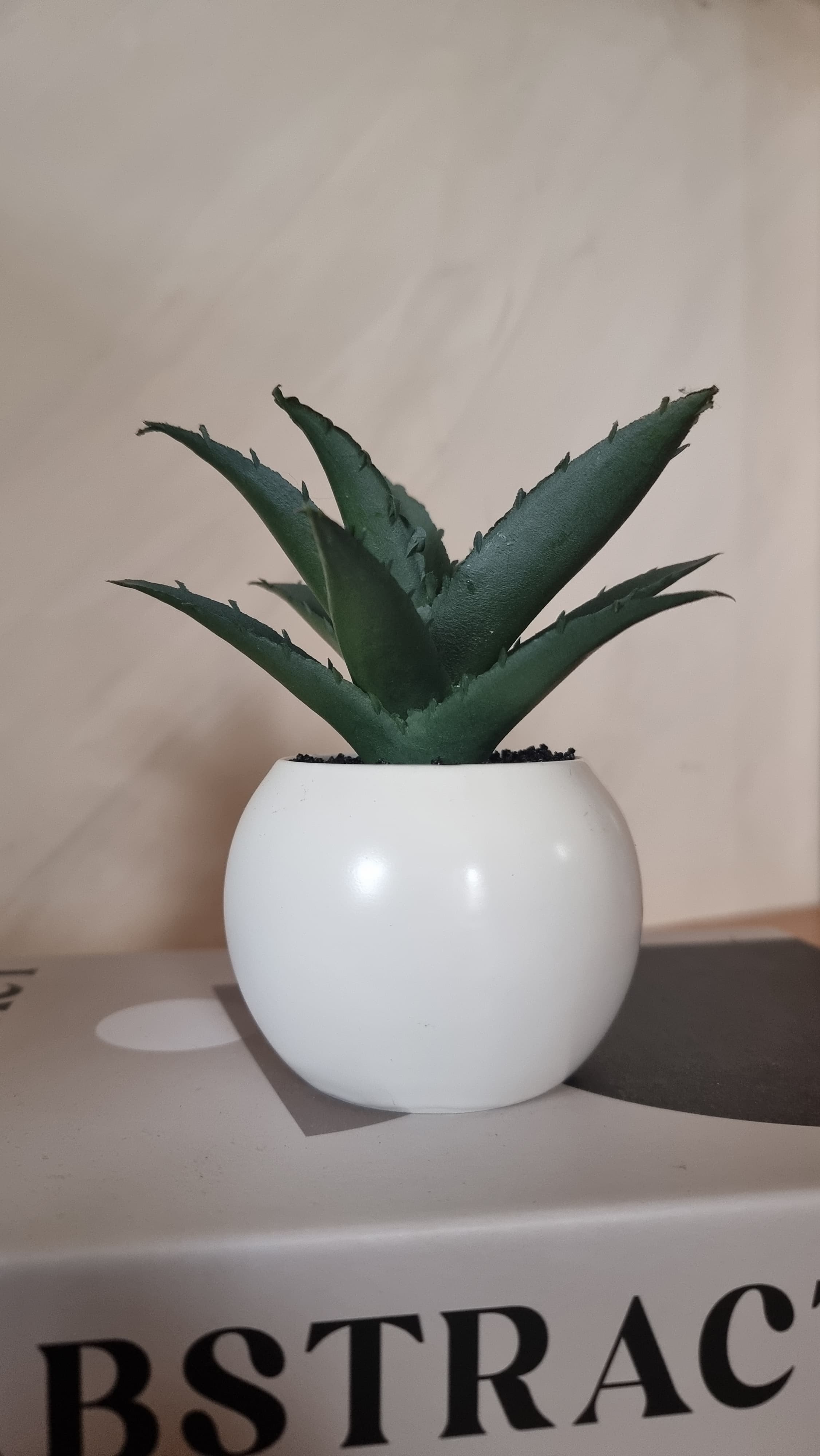 POT DE FLEUR EN CERAMIQUE BLANC