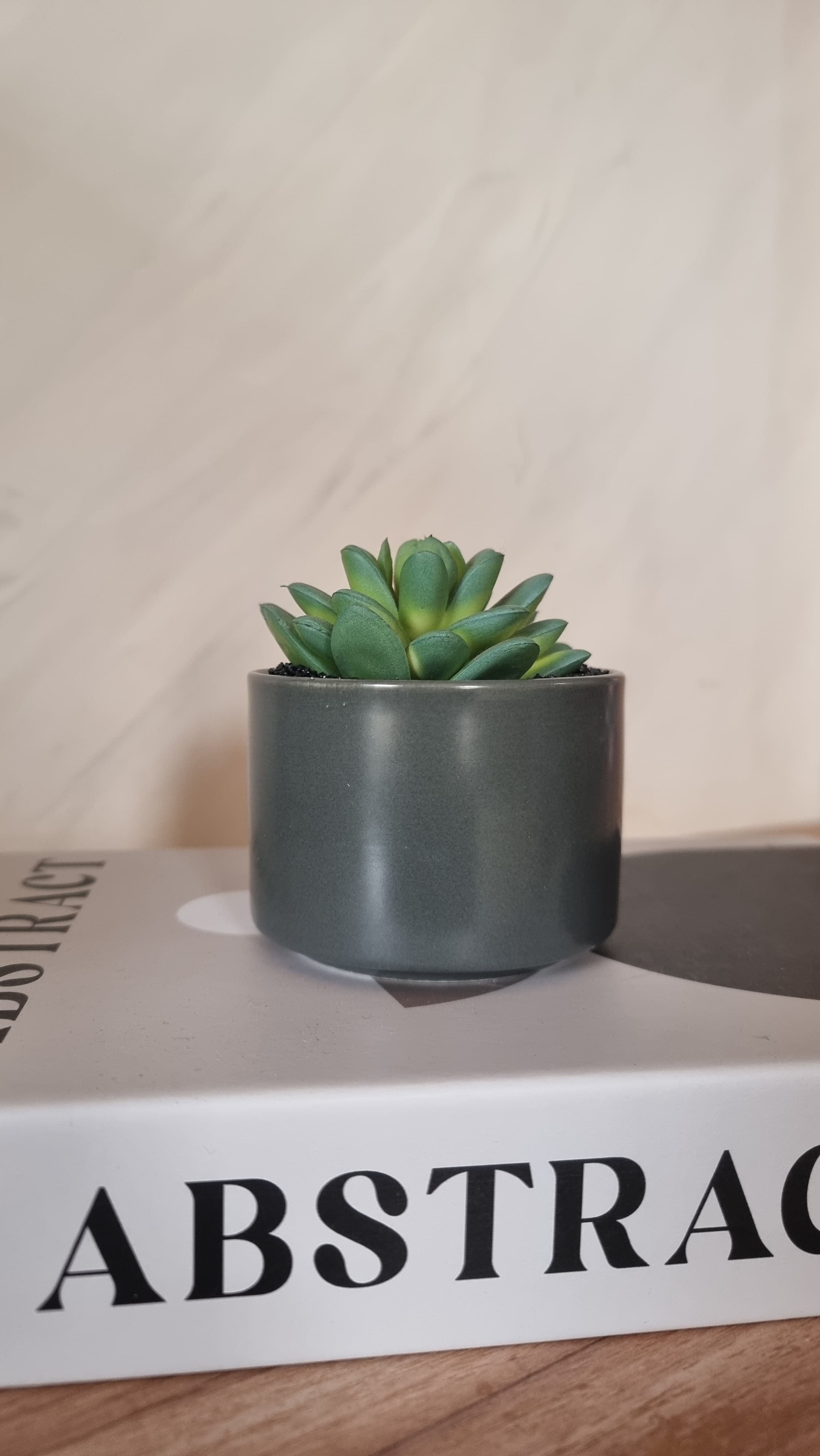 POT DE FLEUR EN CERAMIQUE NOIR